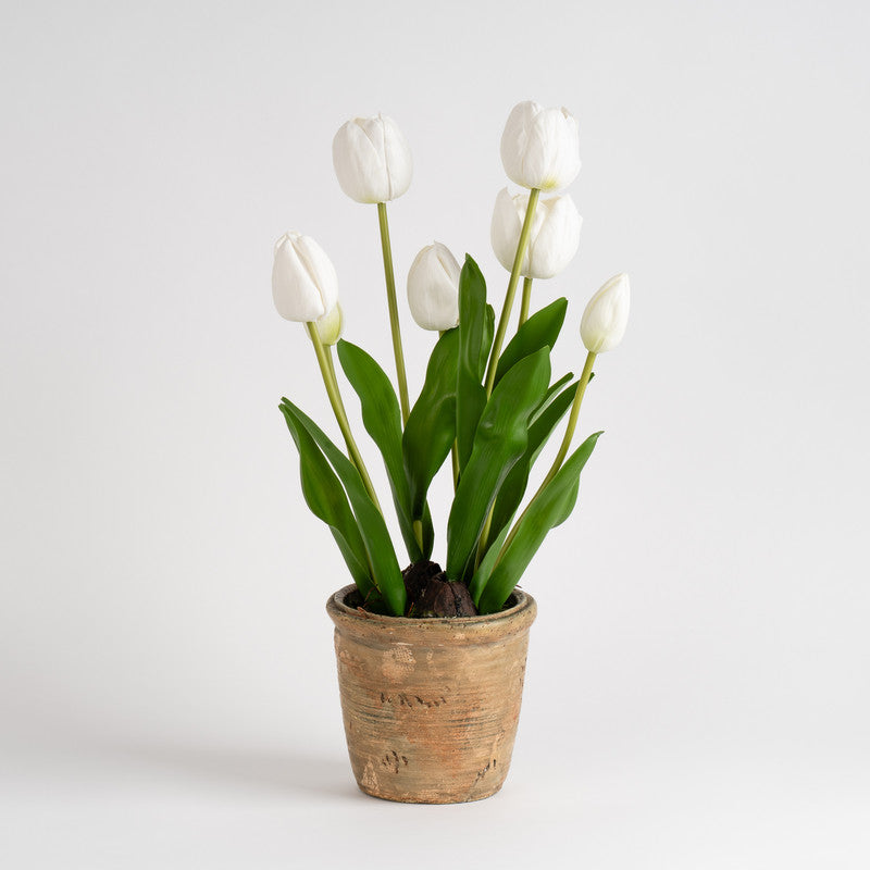 46cm Artificial Tulip Spray in Pot